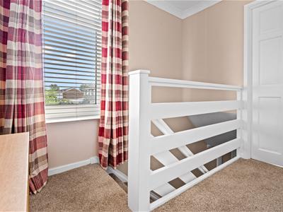 Picture 19